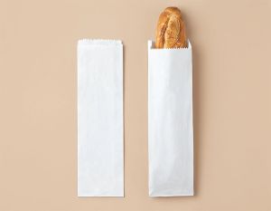 Pungă din hârtie  (1031)