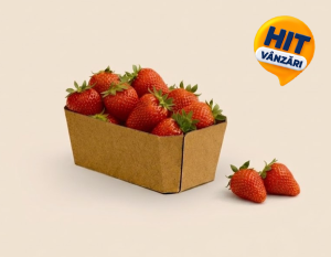 Контейнеры Картонные (80310)