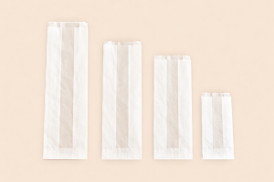 Pungă din hârtie (1024)