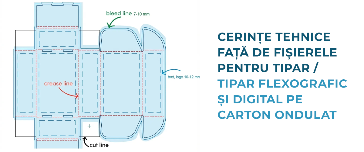 Сerințe tehnice